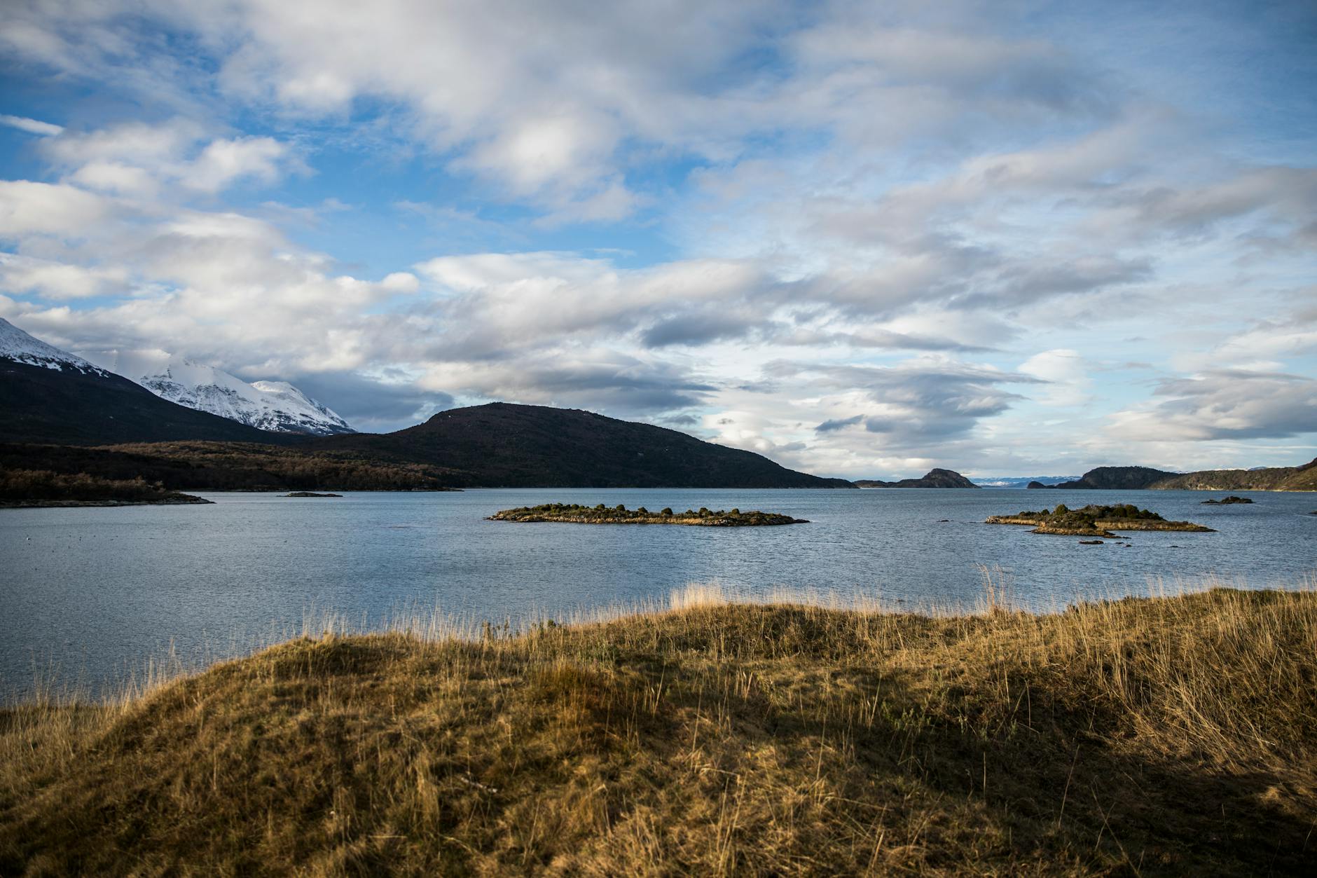 brown grass near body of water under cloudy sky